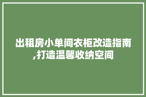 出租房小单间衣柜改造指南,打造温馨收纳空间