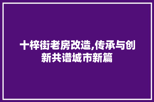十梓街老房改造,传承与创新共谱城市新篇