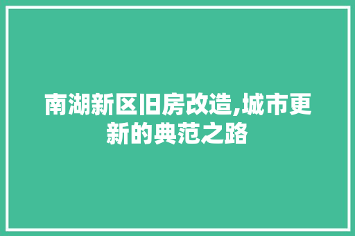 南湖新区旧房改造,城市更新的典范之路