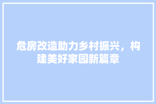 危房改造助力乡村振兴，构建美好家园新篇章