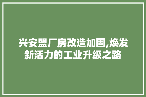 兴安盟厂房改造加固,焕发新活力的工业升级之路