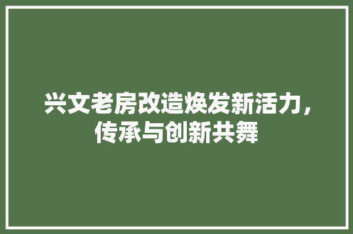 兴文老房改造焕发新活力，传承与创新共舞