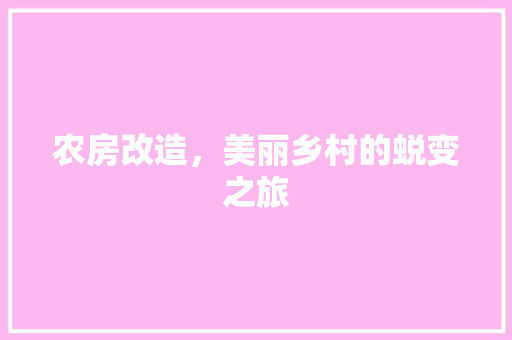 农房改造，美丽乡村的蜕变之旅