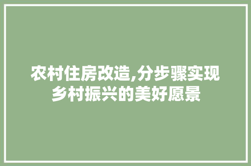 农村住房改造,分步骤实现乡村振兴的美好愿景