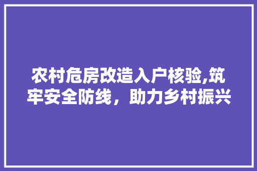 农村危房改造入户核验,筑牢安全防线，助力乡村振兴 折叠门