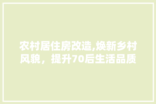 农村居住房改造,焕新乡村风貌，提升70后生活品质