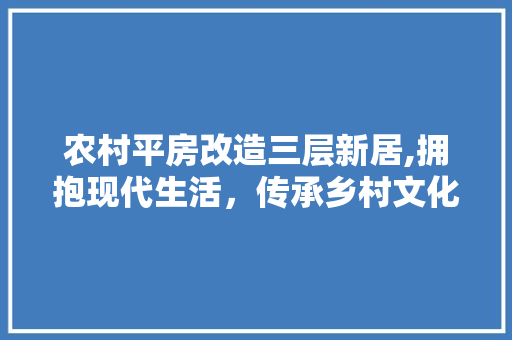 农村平房改造三层新居,拥抱现代生活，传承乡村文化 复合门