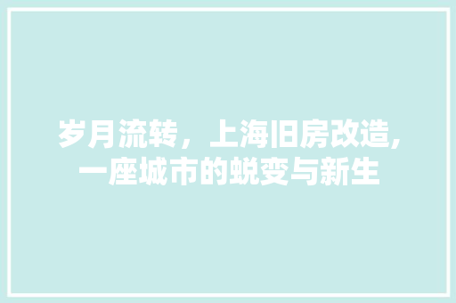 岁月流转，上海旧房改造,一座城市的蜕变与新生