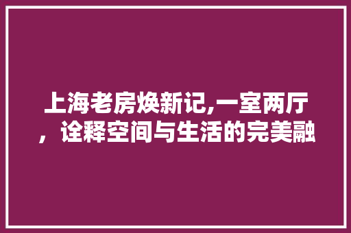 上海老房焕新记,一室两厅，诠释空间与生活的完美融合 实木门