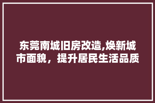 东莞南城旧房改造,焕新城市面貌，提升居民生活品质