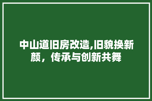 中山道旧房改造,旧貌换新颜，传承与创新共舞