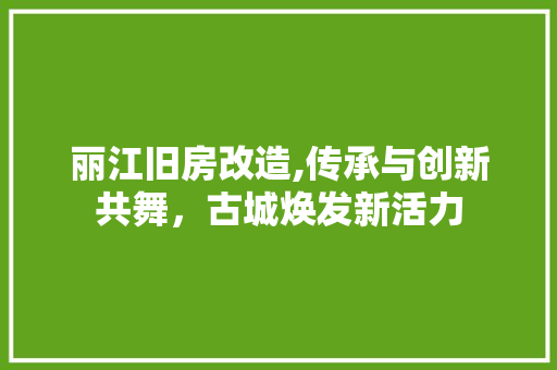 丽江旧房改造,传承与创新共舞，古城焕发新活力