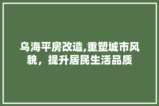 乌海平房改造,重塑城市风貌，提升居民生活品质 滑动门