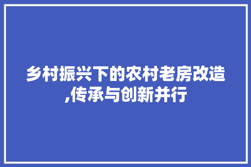 乡村振兴下的农村老房改造,传承与创新并行 滑动门