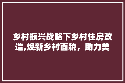 乡村振兴战略下乡村住房改造,焕新乡村面貌，助力美好生活