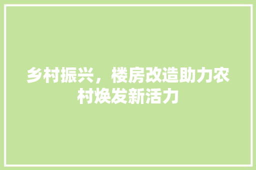 乡村振兴，楼房改造助力农村焕发新活力