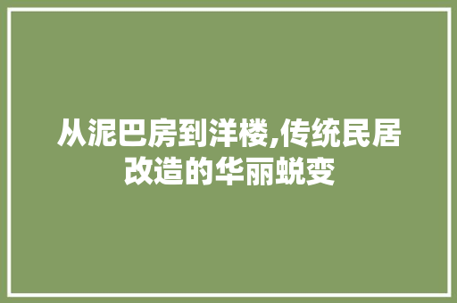 从泥巴房到洋楼,传统民居改造的华丽蜕变
