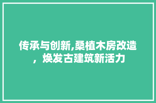 传承与创新,桑植木房改造，焕发古建筑新活力