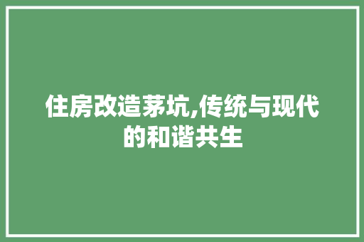 住房改造茅坑,传统与现代的和谐共生