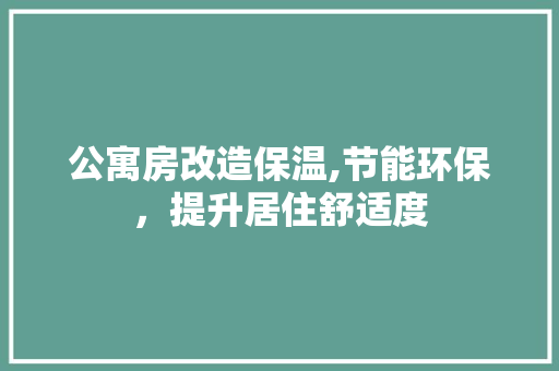 公寓房改造保温,节能环保，提升居住舒适度