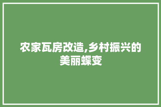 农家瓦房改造,乡村振兴的美丽蝶变 实木门