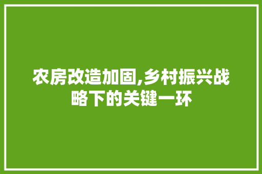 农房改造加固,乡村振兴战略下的关键一环