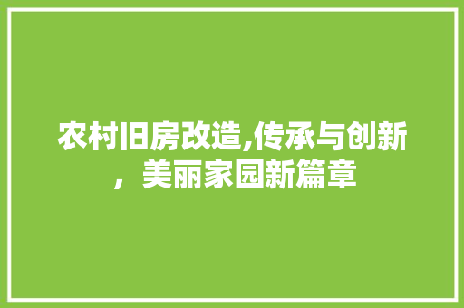 农村旧房改造,传承与创新，美丽家园新篇章 滑动门