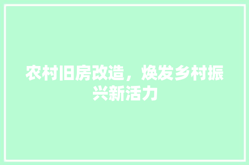 农村旧房改造，焕发乡村振兴新活力