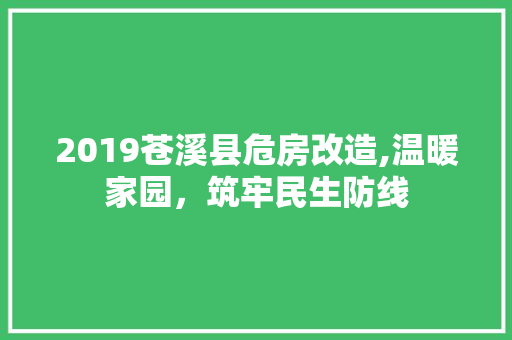 2019苍溪县危房改造,温暖家园，筑牢民生防线