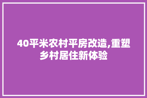 40平米农村平房改造,重塑乡村居住新体验 折叠门