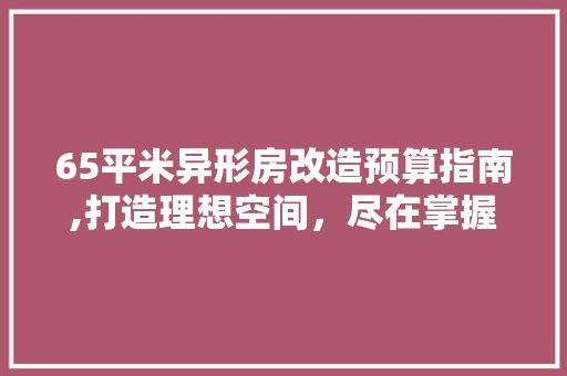 65平米异形房改造预算指南,打造理想空间，尽在掌握 塑钢门