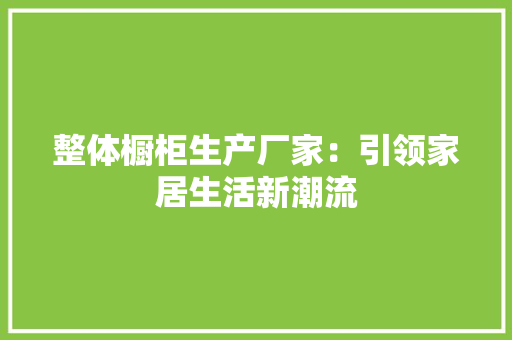 整体橱柜生产厂家：引领家居生活新潮流