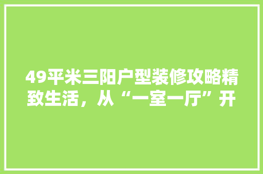 49平米三阳户型装修攻略精致生活，从“一室一厅”开始