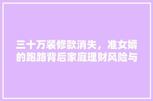 三十万装修款消失，准女婿的跑路背后家庭理财风险与防范之路 滑动门