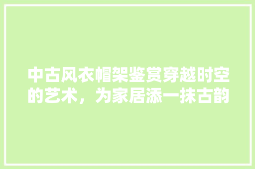 中古风衣帽架鉴赏穿越时空的艺术，为家居添一抹古韵 实木门