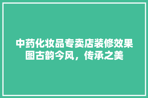 中药化妆品专卖店装修效果图古韵今风，传承之美