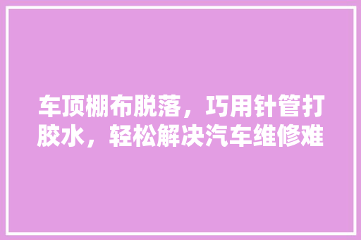 车顶棚布脱落，巧用针管打胶水，轻松解决汽车维修难题