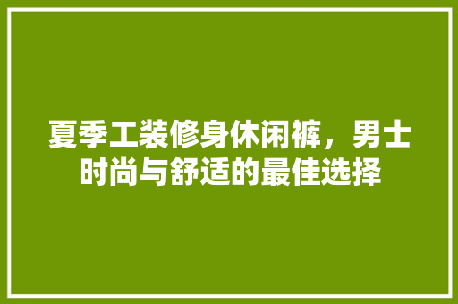 夏季工装修身休闲裤，男士时尚与舒适的最佳选择