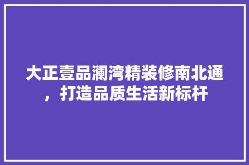 大正壹品澜湾精装修南北通，打造品质生活新标杆