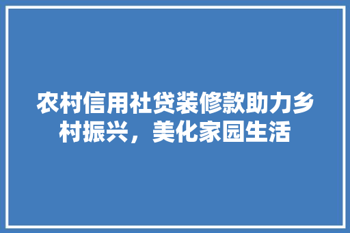 农村信用社贷装修款助力乡村振兴，美化家园生活