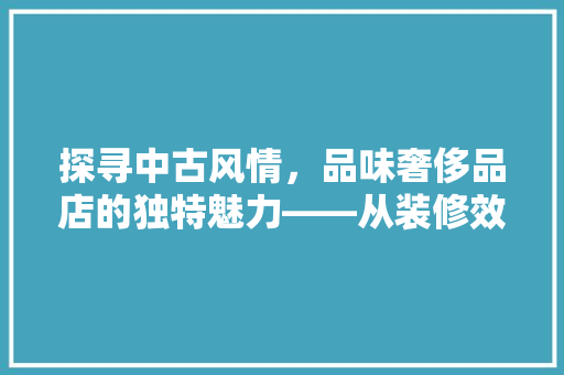 探寻中古风情，品味奢侈品店的独特魅力——从装修效果图解读经典风格