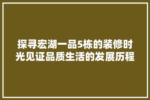 探寻宏湖一品5栋的装修时光见证品质生活的发展历程