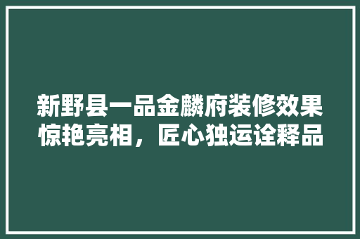 新野县一品金麟府装修效果惊艳亮相，匠心独运诠释品质生活