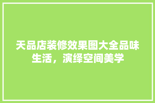 天品店装修效果图大全品味生活，演绎空间美学
