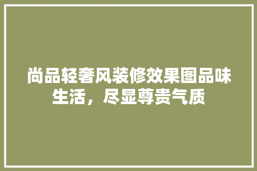 尚品轻奢风装修效果图品味生活，尽显尊贵气质