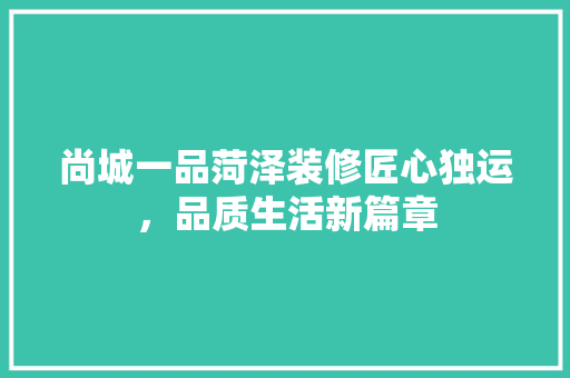 尚城一品菏泽装修匠心独运，品质生活新篇章