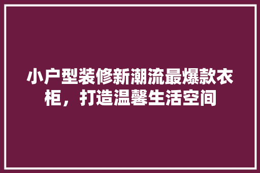 小户型装修新潮流最爆款衣柜，打造温馨生活空间