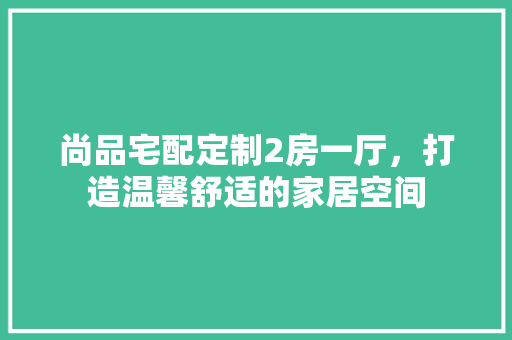 尚品宅配定制2房一厅，打造温馨舒适的家居空间
