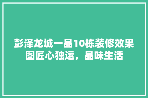彭泽龙城一品10栋装修效果图匠心独运，品味生活