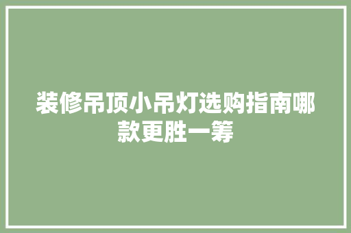 装修吊顶小吊灯选购指南哪款更胜一筹